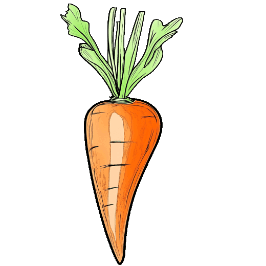 vegane, vegetarische, vollwertige alltagstaugliche Rezepte für Gesundheit und Wohlbefinden