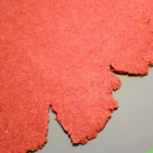 vegane Stempelkekse ein einfaches rezept. auch lecker als Weihnachts-Plätzchen