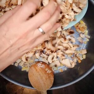 vegane Lasagne mit pilzen lecker angerichtet, high protein, low carb
