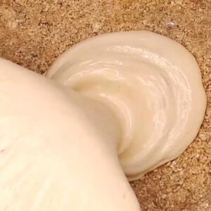 veganer Käsekuchen Rezept, vegane Rezepte, vegetarische Rezepte, zuckerfrei, glutenfrei