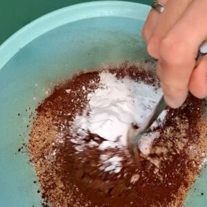 saftige veganer Schoko-Karotten-Kuchen, Rezept, low carb, high protein