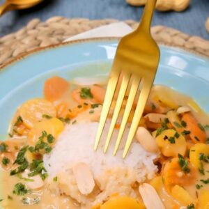 vegane Erdnuss-Möhren-Soße lecker und cremig mit Reis oder Pasta