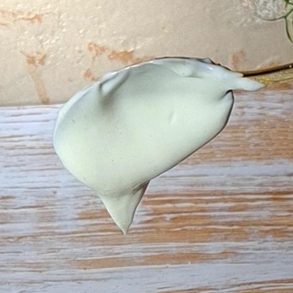 vegane mayo selber machen ohne soja und alltagstaugliche proteinreiche vegane rezepte low carb und high protein zum abnehmen