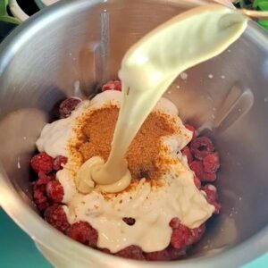 Gesundes Beeren-Eis 15 veganes eis selber machen mit himbeeren und alltagstaugliche proteinreiche vegane rezepte low carb und high protein zum abnehmen