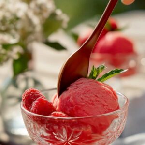 Gesundes Beeren-Eis 17 veganes eis selber machen mit himbeeren und alltagstaugliche proteinreiche vegane rezepte low carb und high protein zum abnehmen