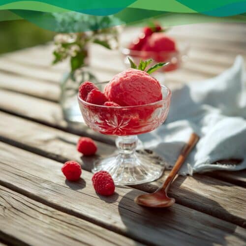 Gesundes Beeren-Eis 3 veganes eis selber machen mit himbeeren und alltagstaugliche proteinreiche vegane rezepte low carb und high protein zum abnehmen
