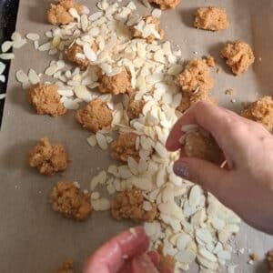 vegane Mandelkekse 16 vegane mandelkekse ganz einfach und leicht gebacken werden ummantelt