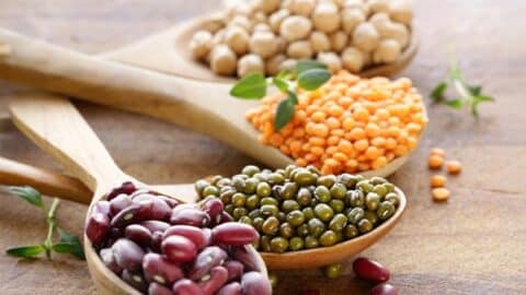 Fleischersatz vegan 18 veganer fleischersatz hülsenfrüchte