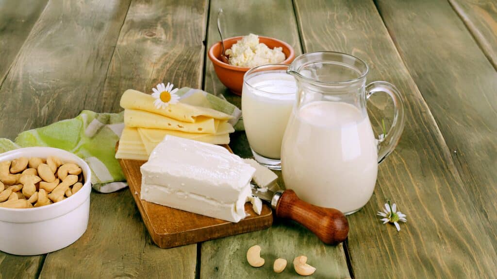 milchprodukte ersetzen vegan pflanzliche Alternative als Ersatz