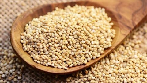 vegane Proteinquellen 18 pflanzliche vegane Proteinquelle proteinreiches Quinoa