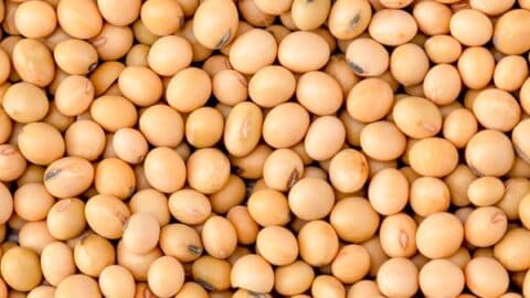 Joghurt ersetzen vegan 14 Joghurt vegan ersetzen pflanzliche Alternative als Ersatz