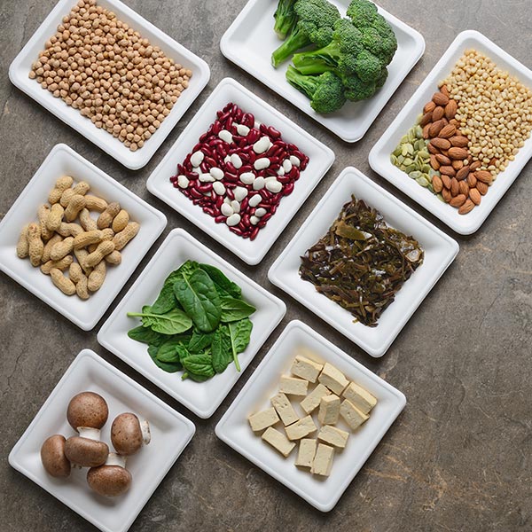 pflanzliches Protein 1 vegan protein pflanzlich