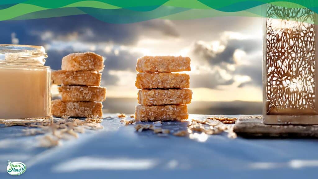 vegane kokos riegel alltagstaugliches veganes Rezept