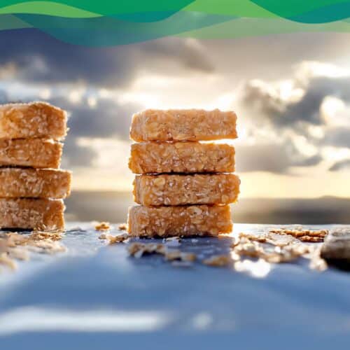Kokos Riegel vegan 6 vegane kokos riegel alltagstaugliches veganes Rezept