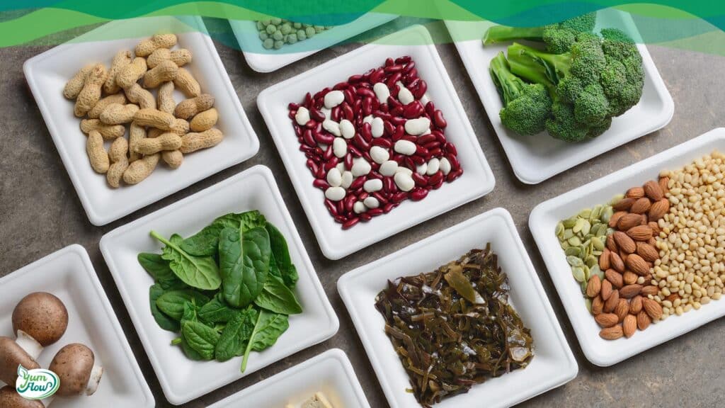 vegane Proteinquellen 24 vegane proteinquellen im Alltag