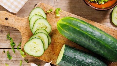 vegane Basics 4 vegane basics veganes meal prep