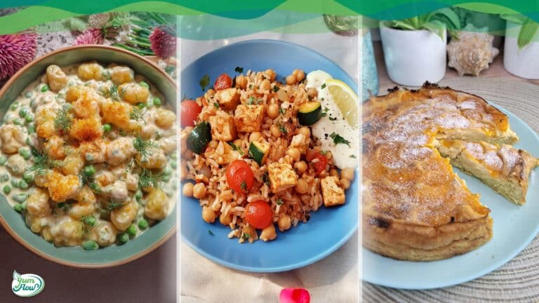 alltagstaugliche vegane Rezepte auch low carb und high protein