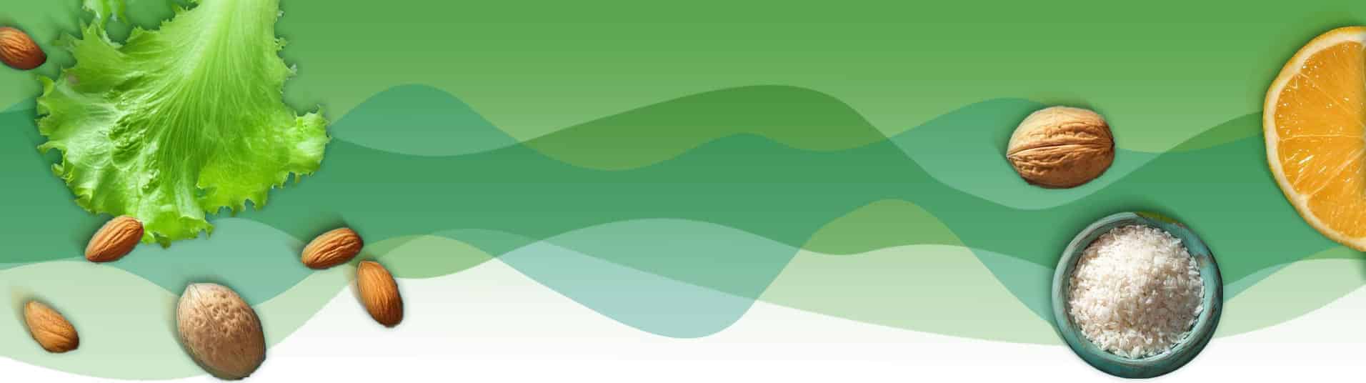 alltagstaugliche vegane Rezepte auch low carb und high protein