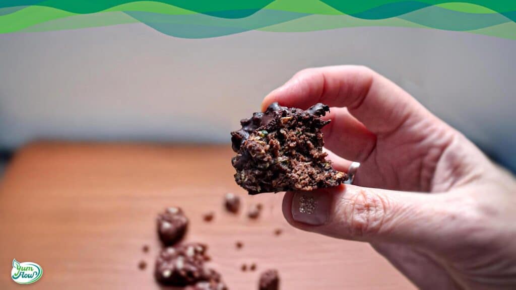 Vegane Low Carb Mini-Schoko-Muffins 16 Hand hält ein Stück vegane low carb mini-schoko-muffins