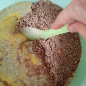 Karotten-Kuchen vegan 15 Teigmix für veganen Karotten-Kuchen