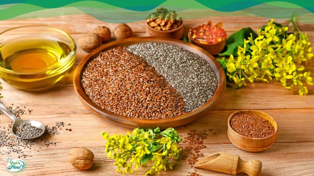 Omega 3 vegan 19 Omega 3 vegan enthaltende Gesunde Samen und Pflanzenöle