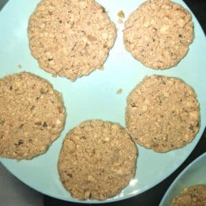 Veganes Patty 15 Vegane Patties formen
