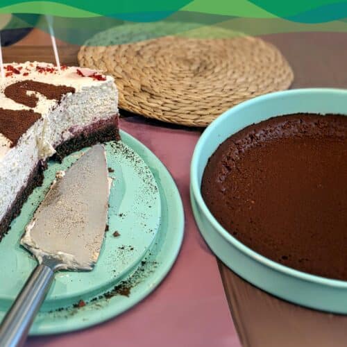 Schoko-Kuchenboden Low Carb 4 Low Carb Schoko-Tortenboden vegan in einer Backform
