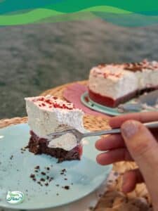 Schoko-Kuchenboden Low Carb 12 Gabel sticht in Low Carb Schoko Tortenboden vegan