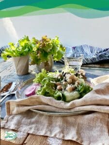 Mittagessen im Sommer 15 Lunch hoch