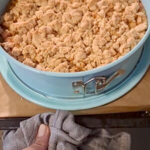 Apfel-Streusel-Kuchen mit Pudding 19 apfelstreusel anleitung 5