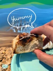 Vegane Zimtschnecken 13 fluffige vegane Zimtschnecken